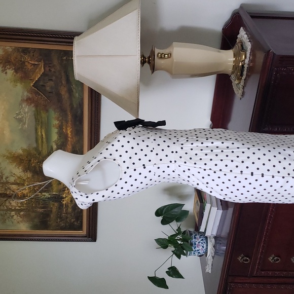 Polka-dot Classical Dress - Picture 2 of 5